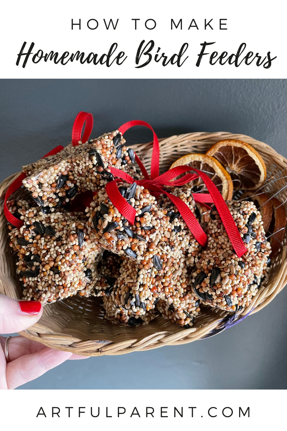 homemade bird feeders pin