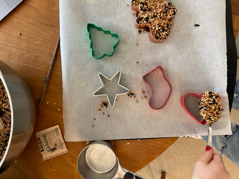 making bird feeders