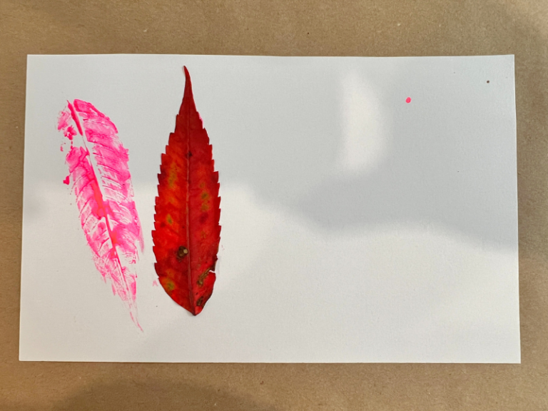 leaf print