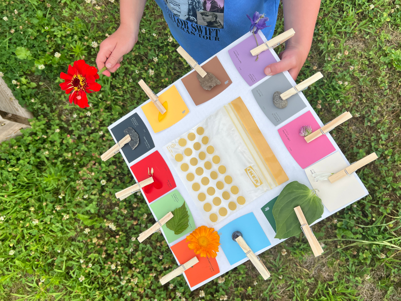 color scavenger hunt featured