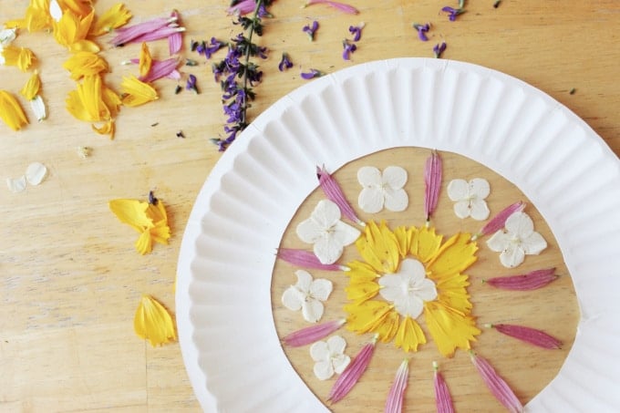 paper plate flower suncatcher