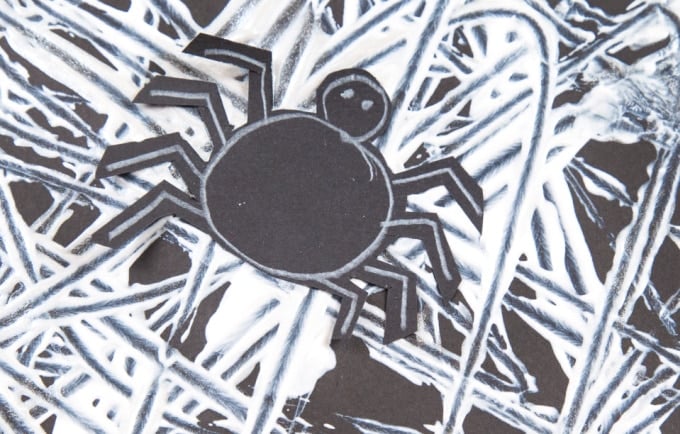 close up of spider on web