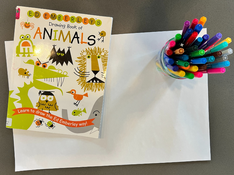 how to draw animals book