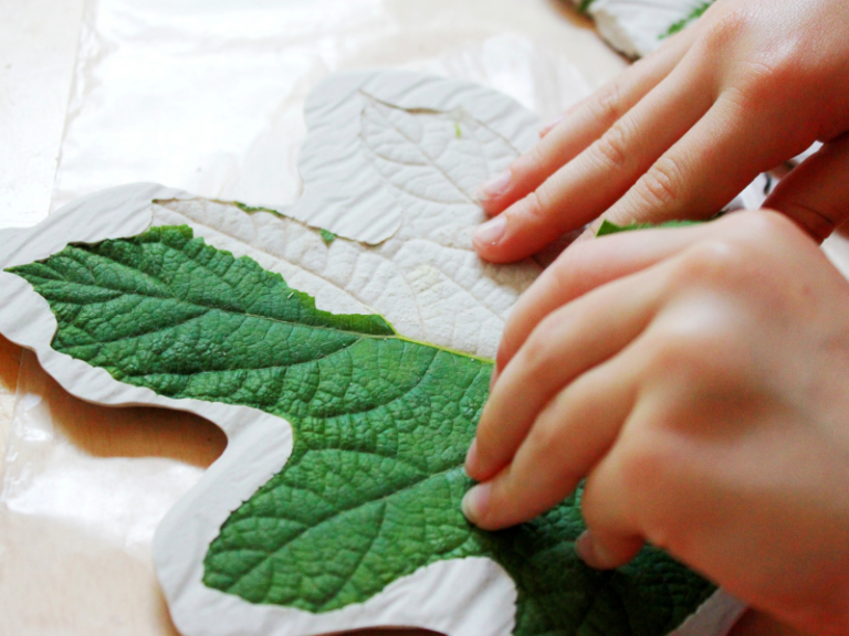 child peeling leaf off plaster