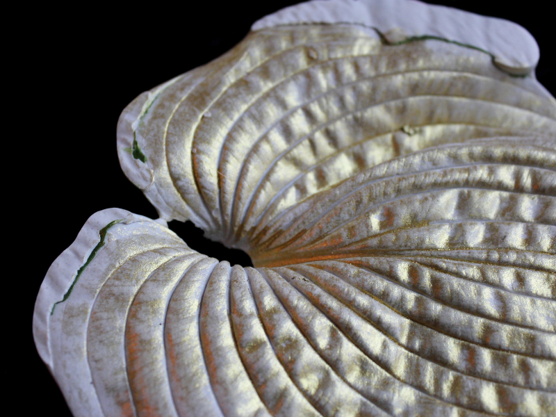 gold plaster leaf