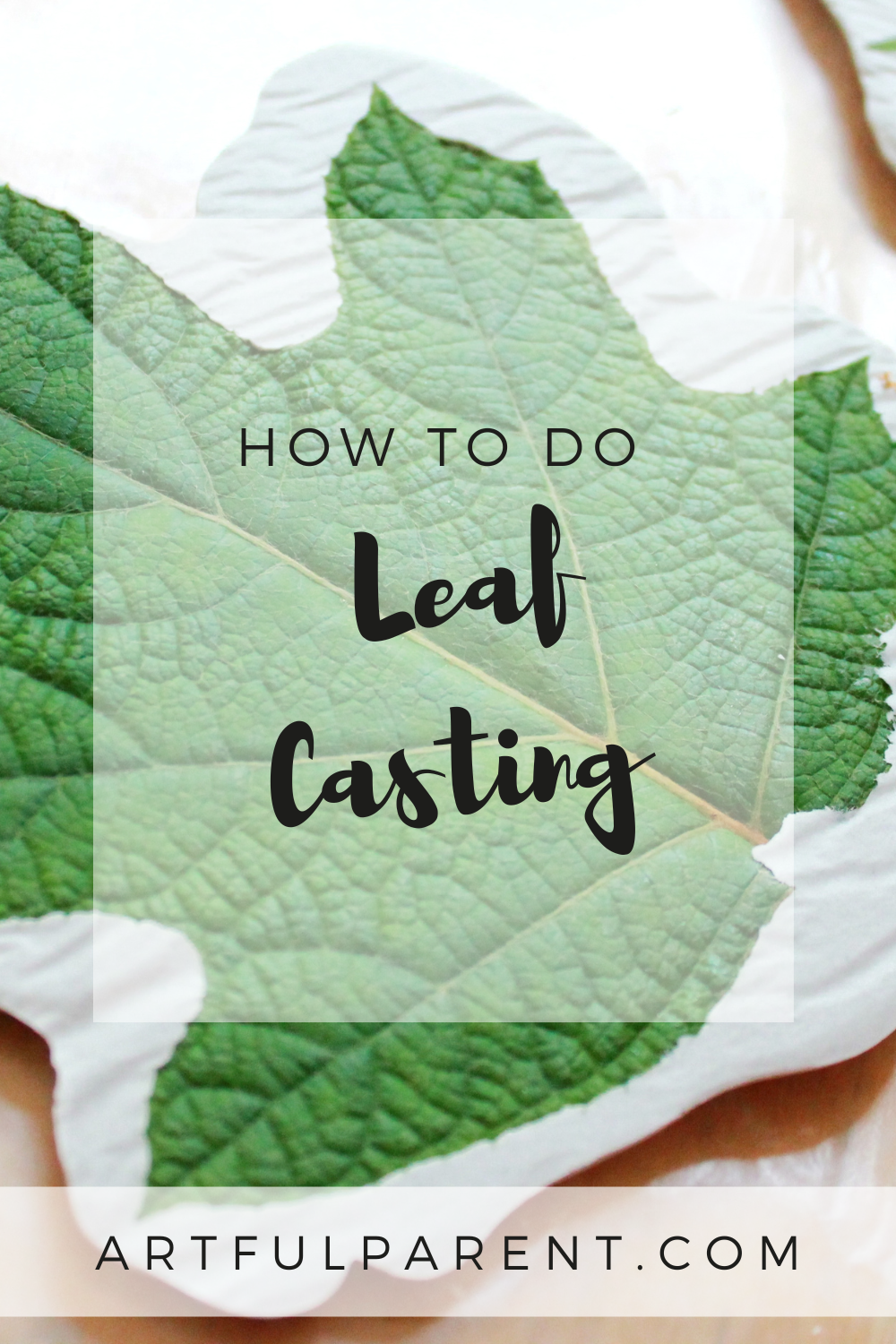 How to Do Leaf Casting with Kids