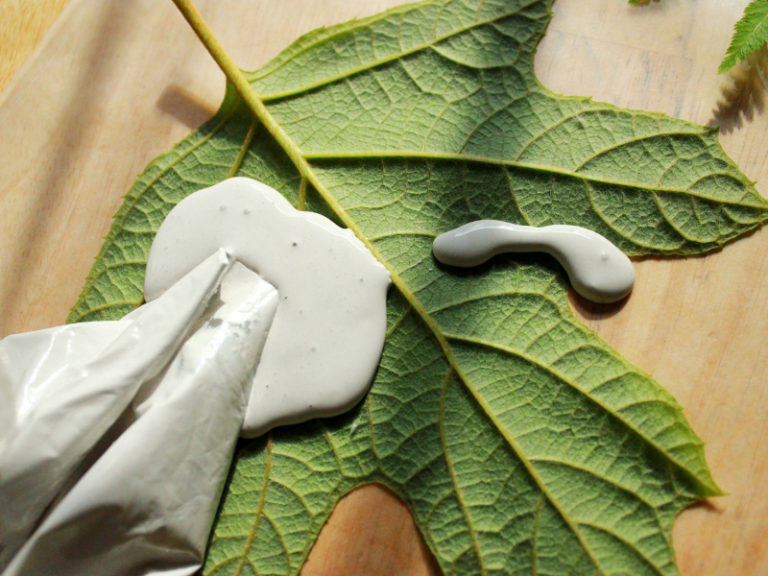 plaster on leaf