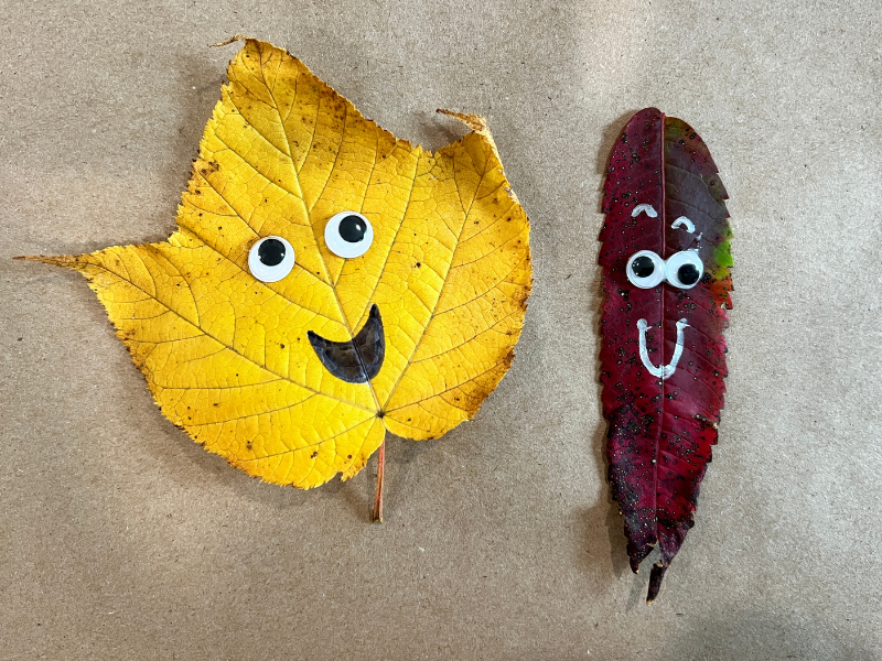 leaf peepers