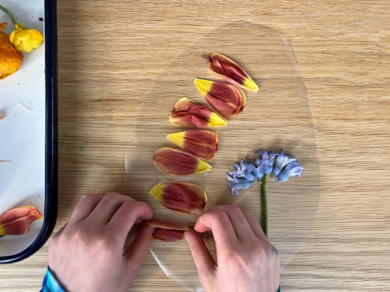 adding more flower petals