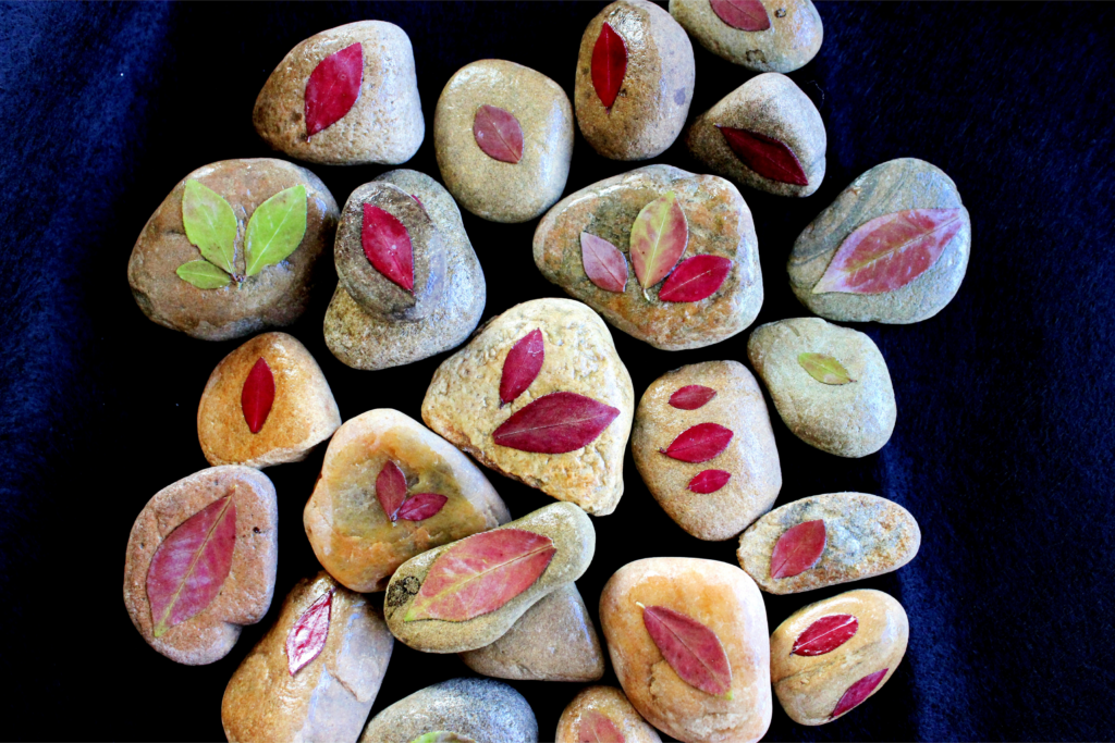 autumn leaf rocks