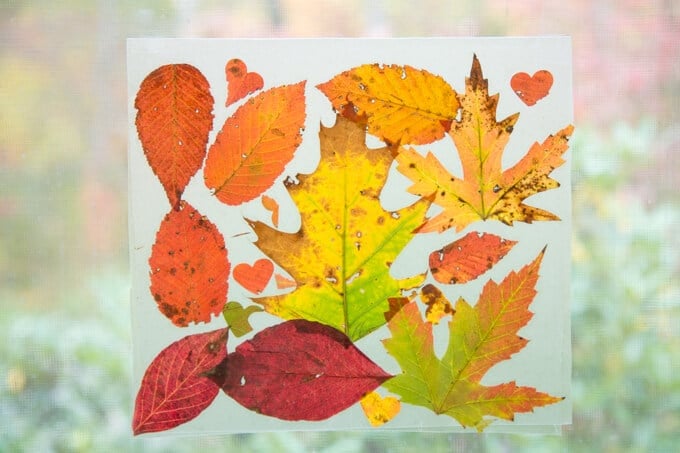 Simple Autumn Leaf Suncatchers