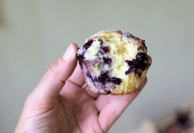 blueberry muffin