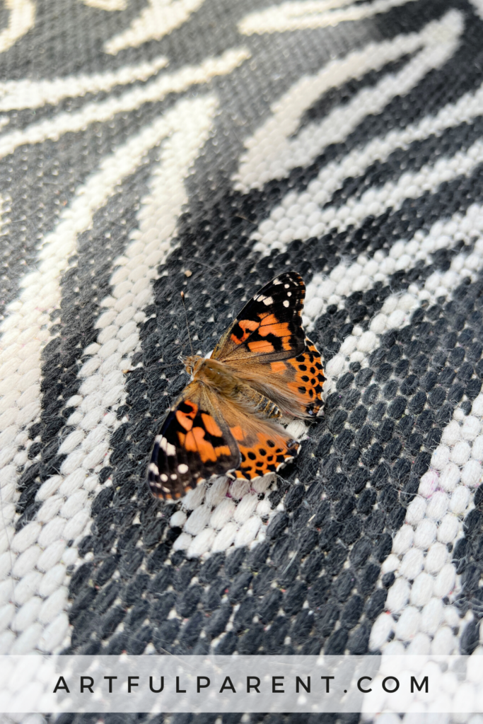 butterflies pin graphic