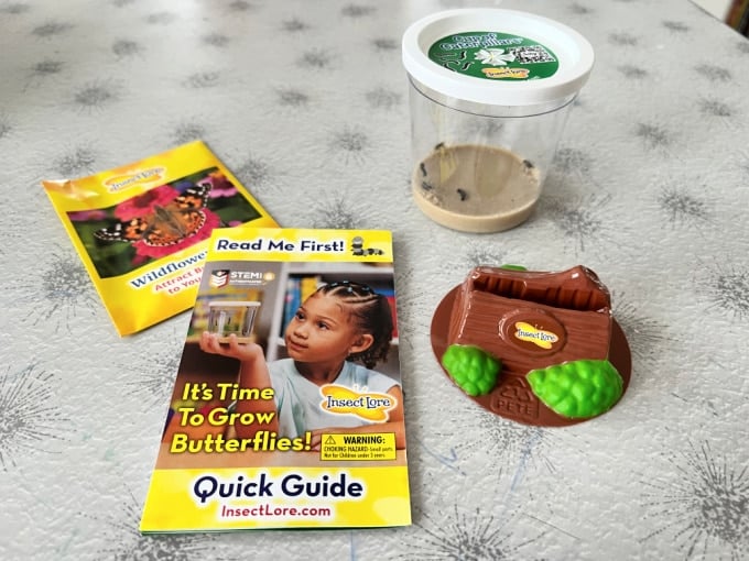 insect lore materials