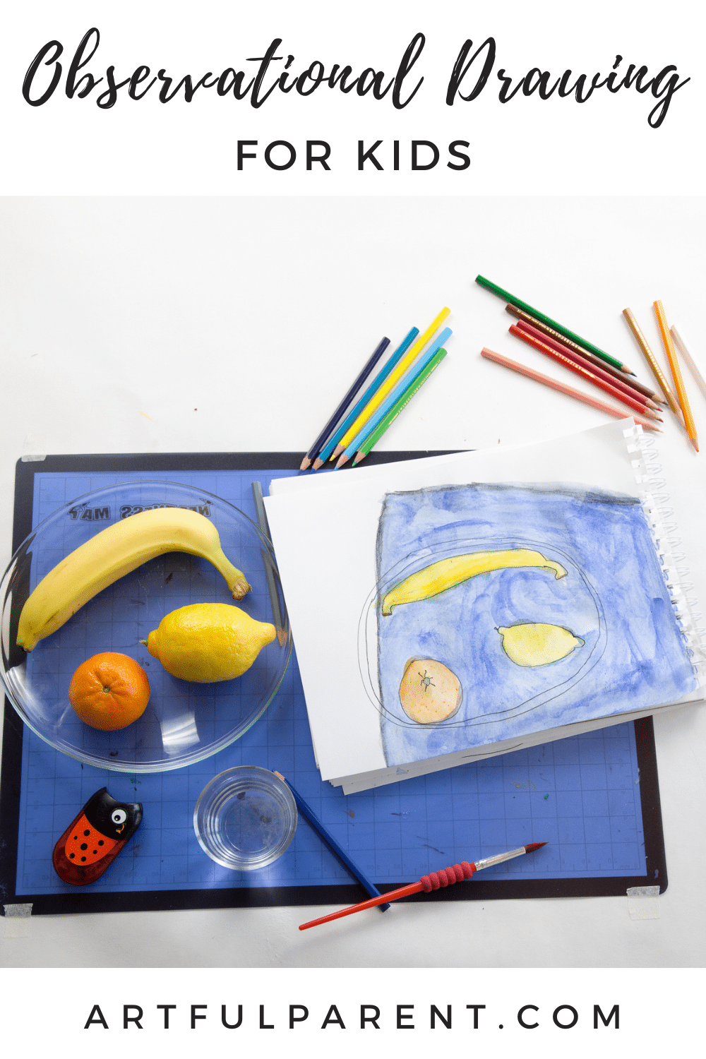 observational drawing pinterest