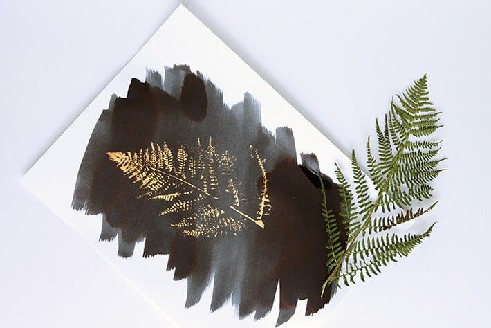 Fern print with magic paper.