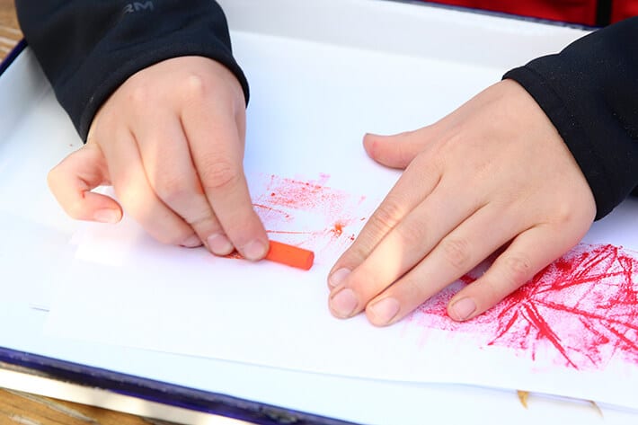 Making leaf rubbings