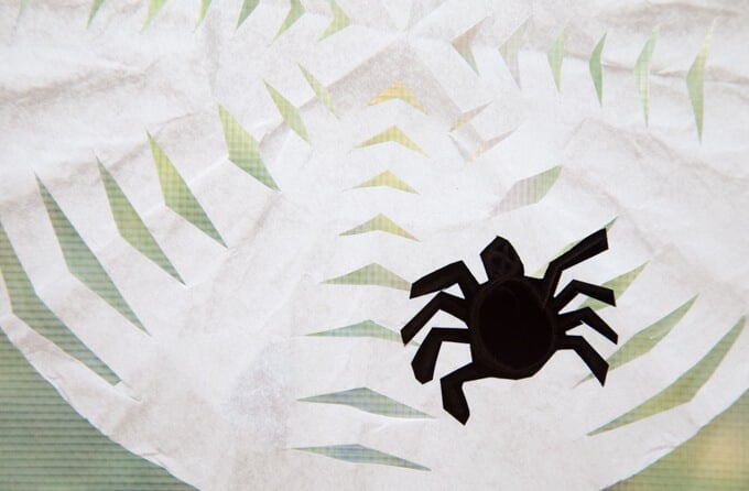 Coffee filter spiderwebs with black spider