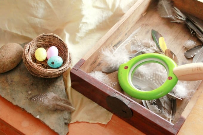 nature table resized (1)