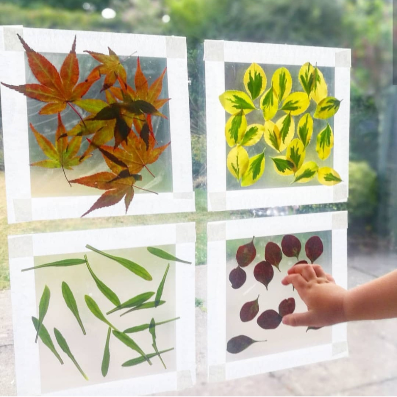 leaf sorting game