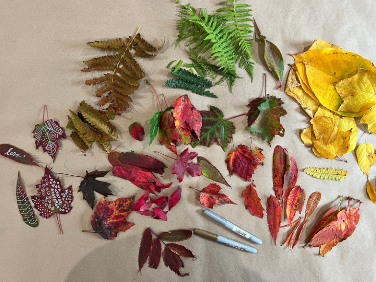 leaves out on paper