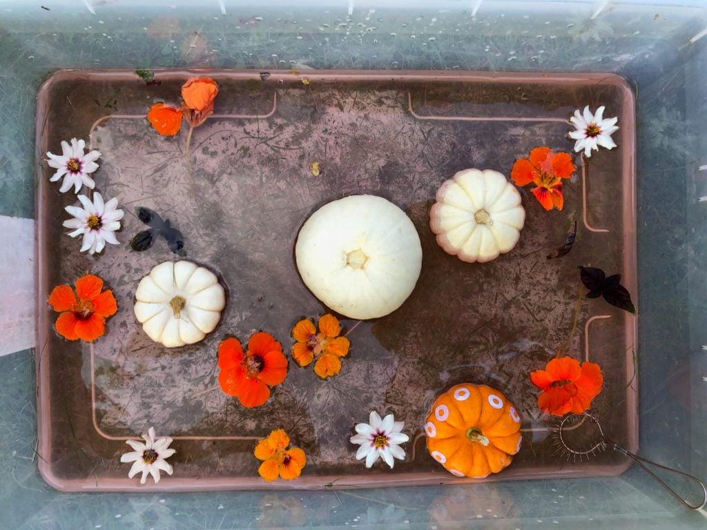 Nature soup by Rachel Withers