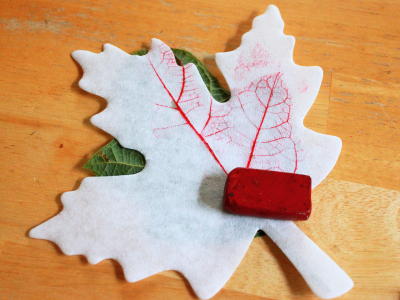 leaf rubbing