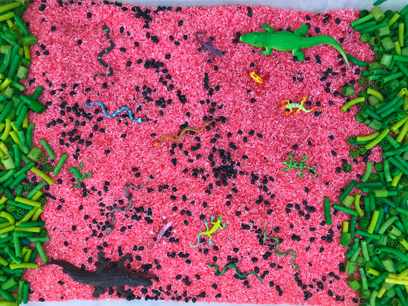 rice and pasta sensory play