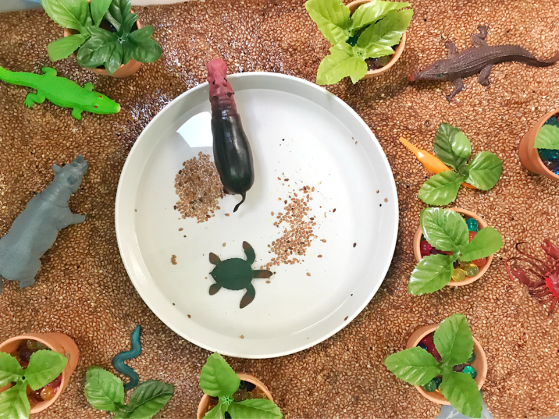 seed sensory play