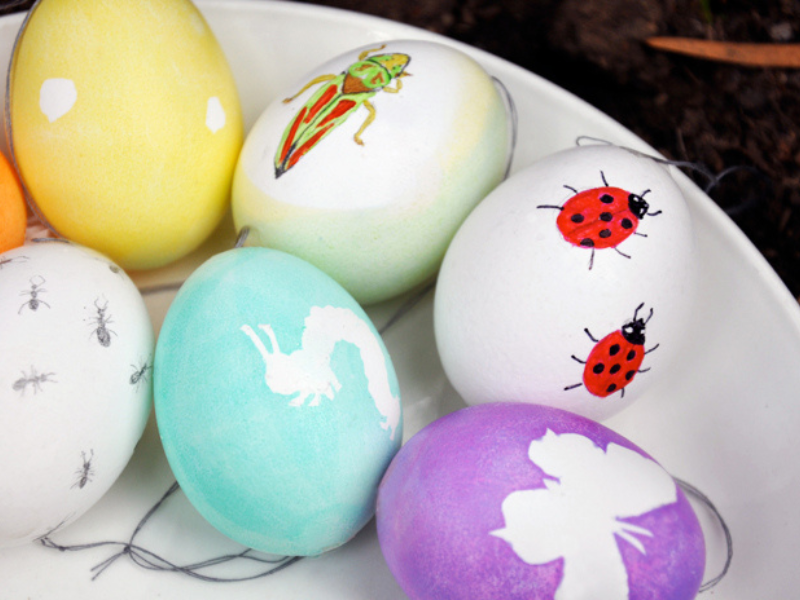 nature eggs