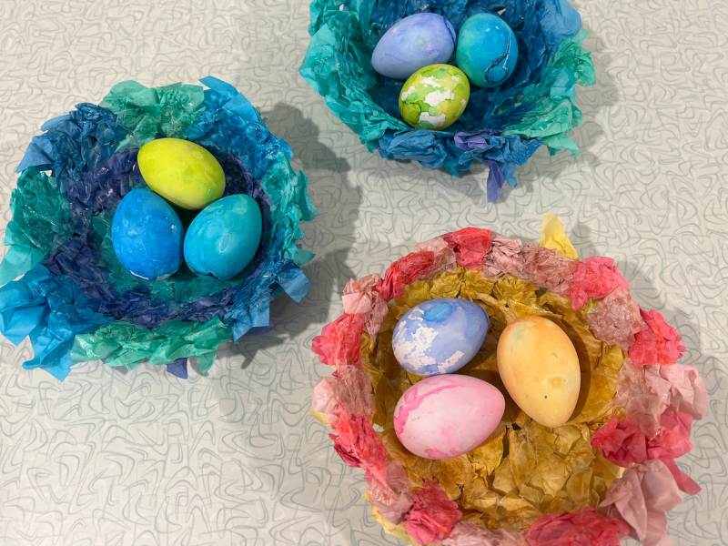 tissue nests