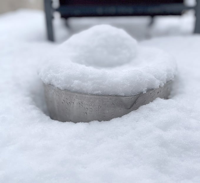 snow in bowl
