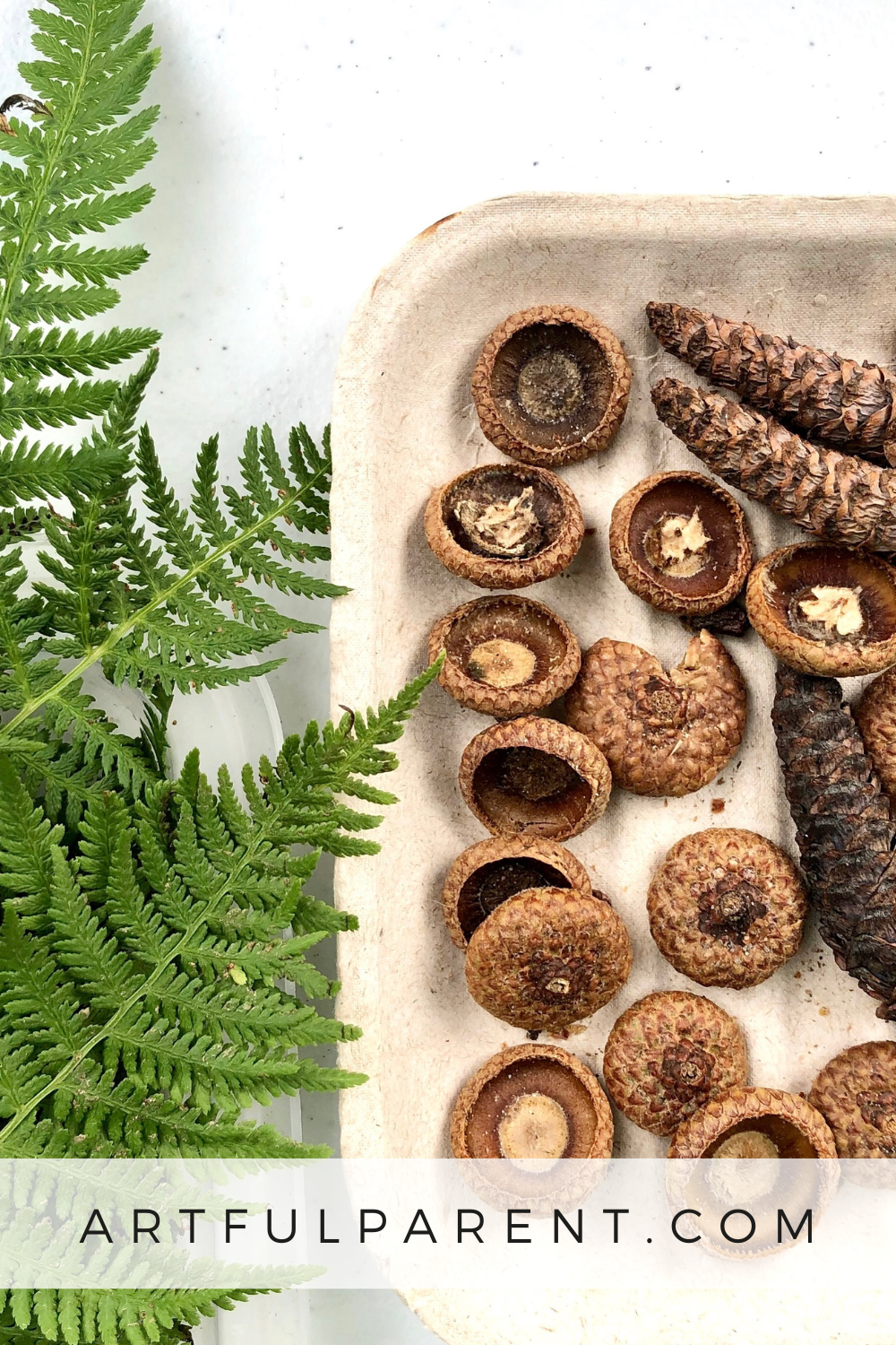 16 Garden and Nature Crafts for Kids