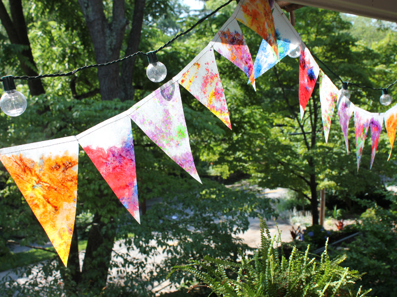 backyard bunting