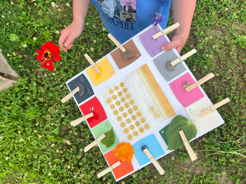 color scavenger hunt