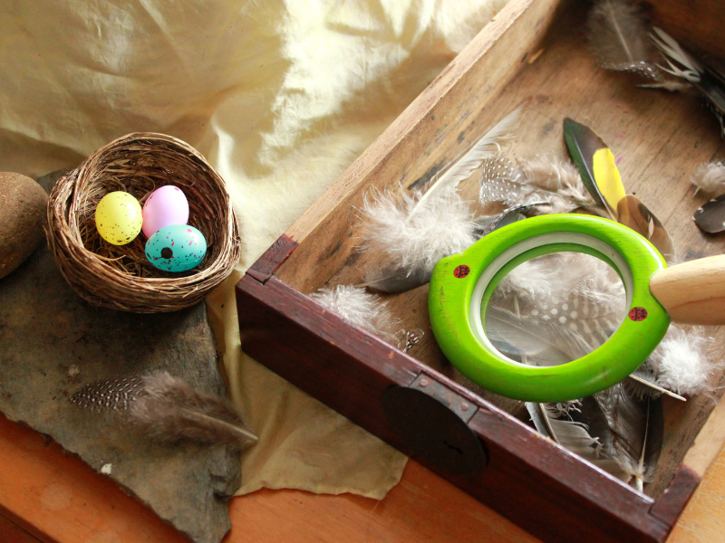 nature table