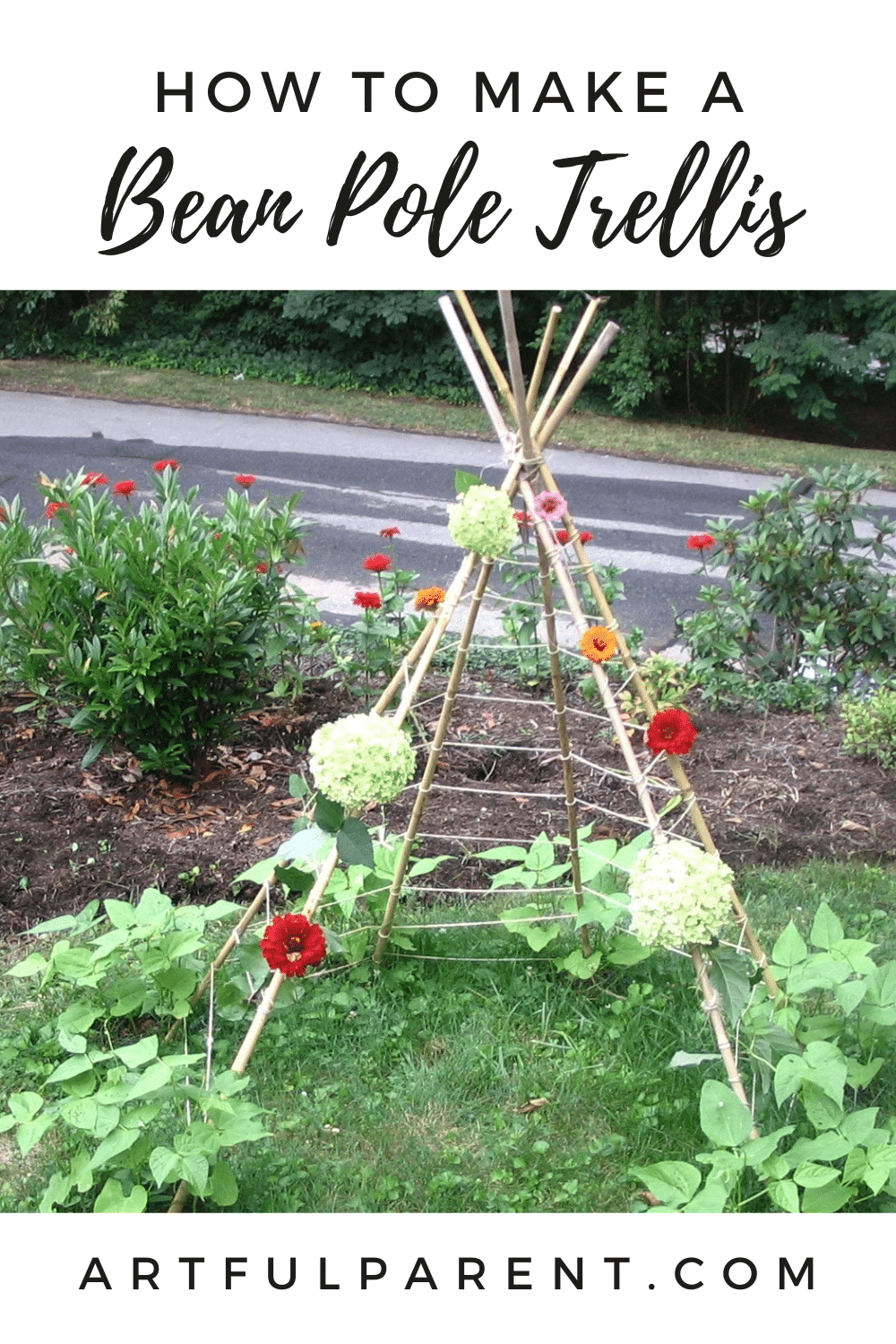 bean pole trellis pinterest