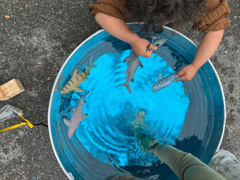 water play