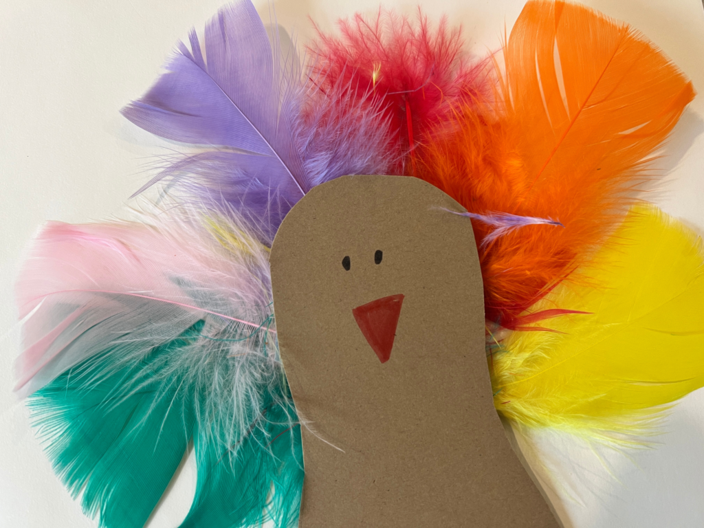 feather turkey