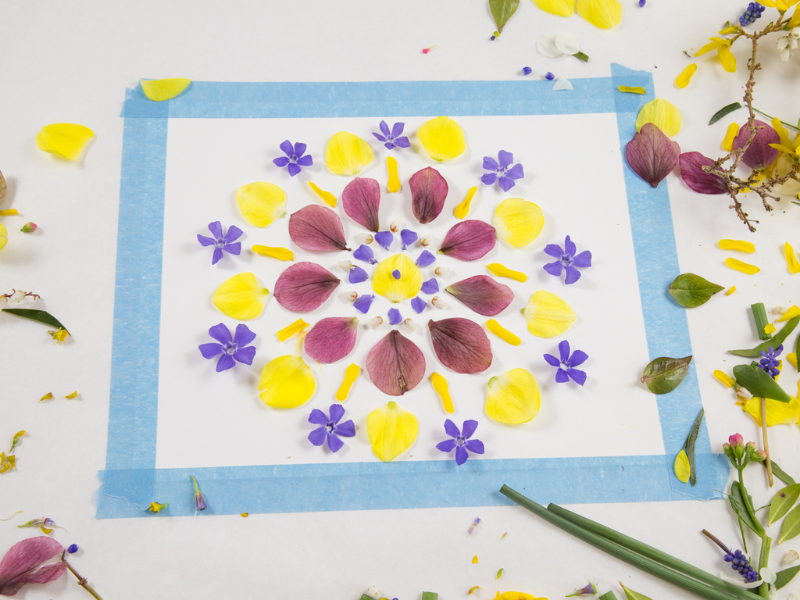 flower picture