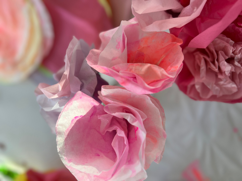tissue paper flowers