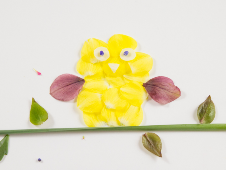 flower petal bird (1)