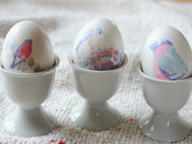 image transfer eggs