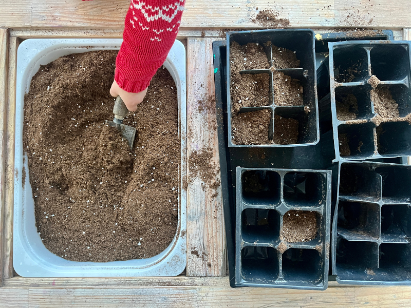planting for kids
