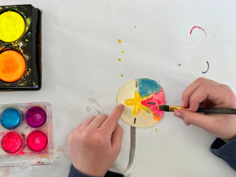 painting a shell
