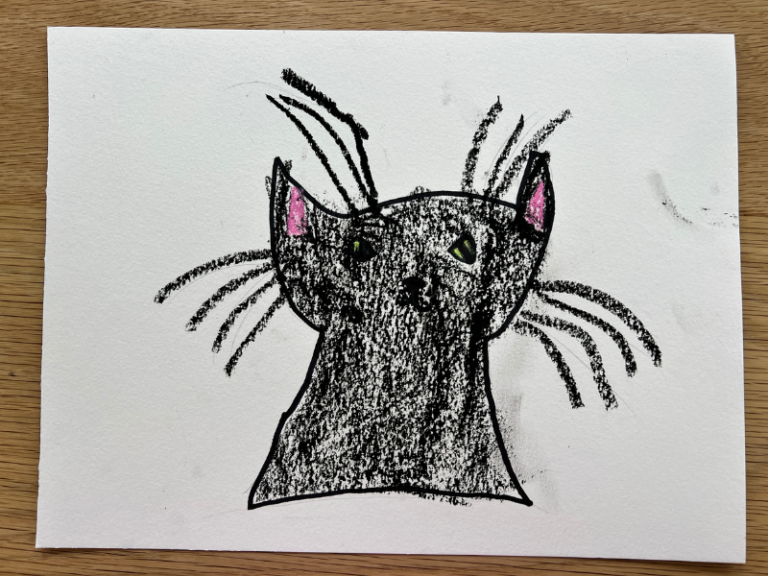 black cat