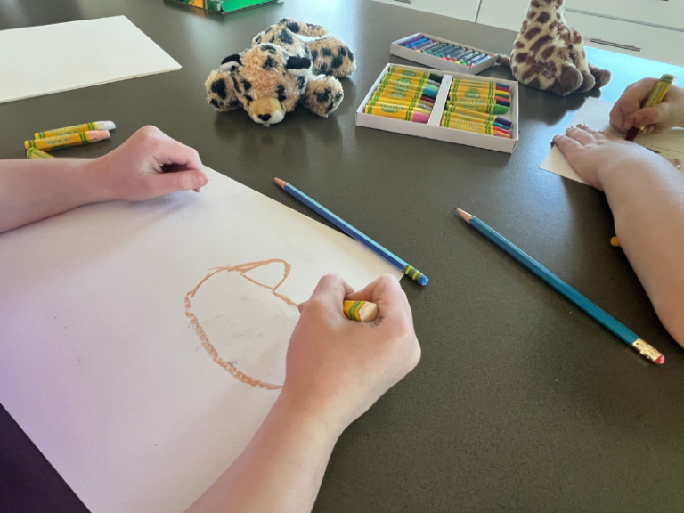 drawing cheetah