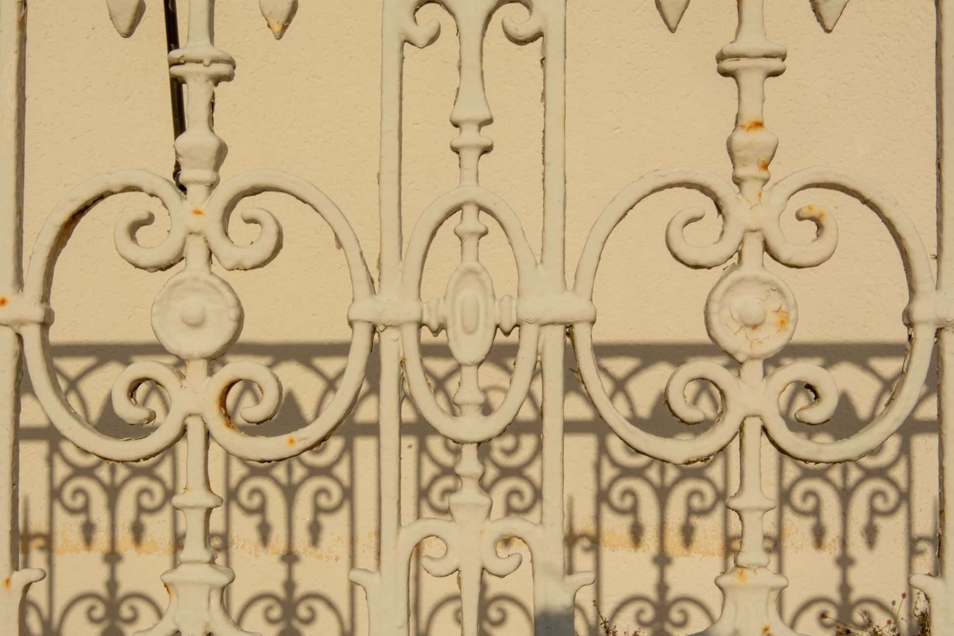 Close-up of an ornate iron fence casting detailed shadows on a wall.