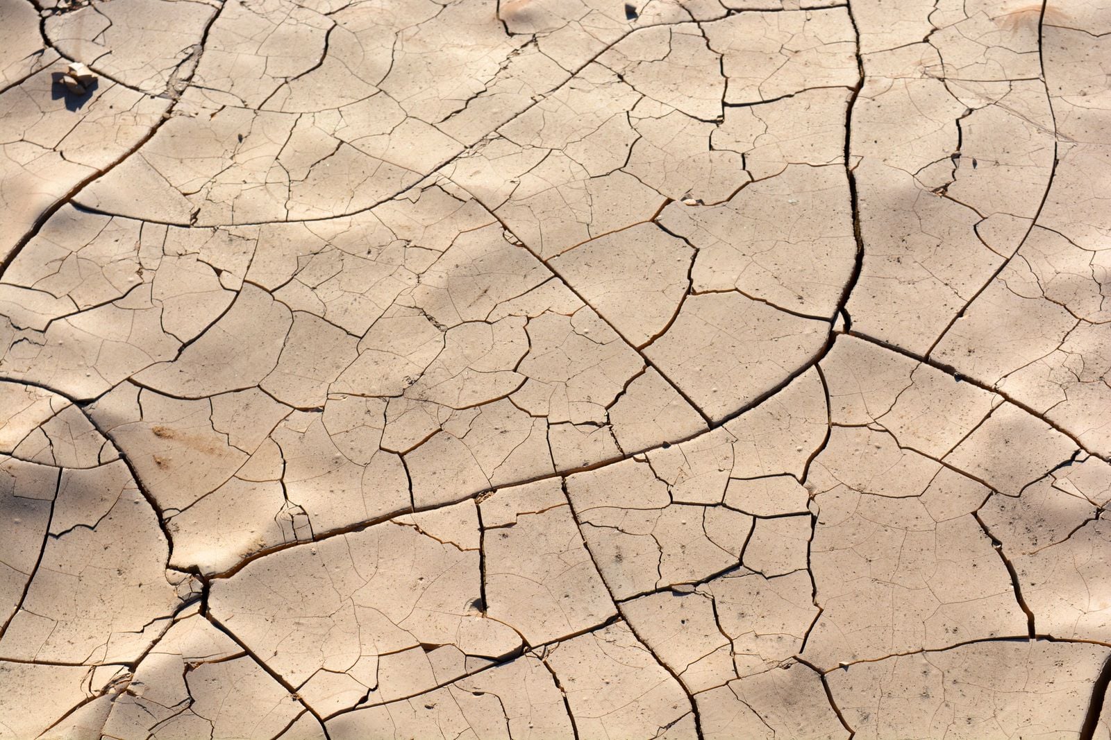 air dry clay cracks