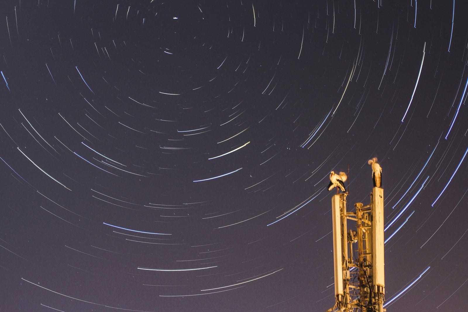 deep space network antenna